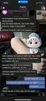 13.webp